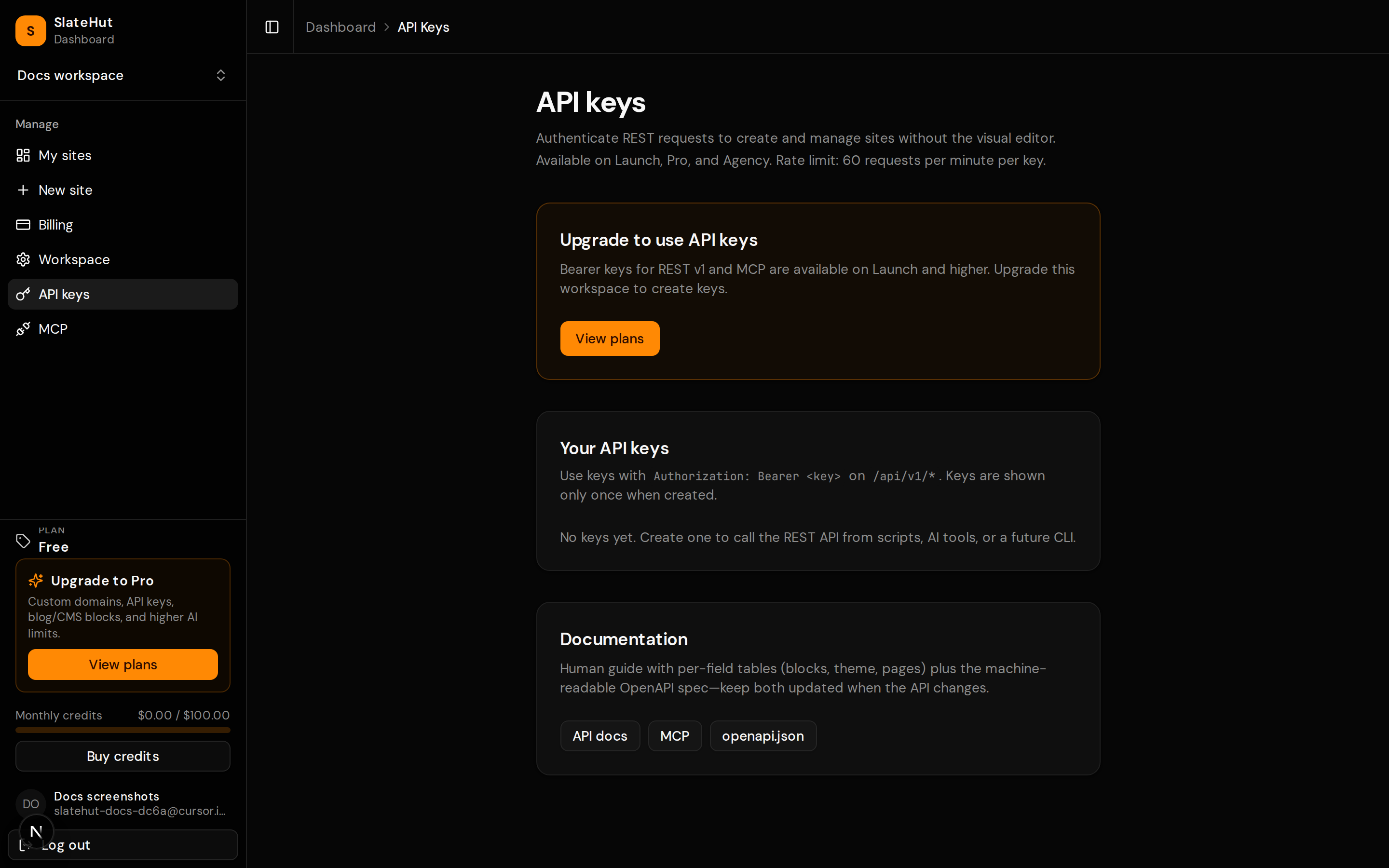 API keys list or empty state for REST and MCP access.